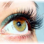 Lash Revolution Wimpernverlängerung